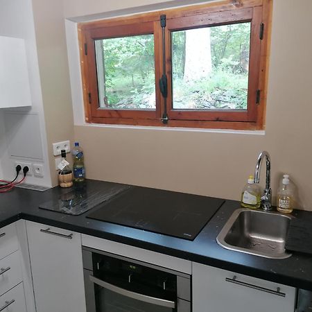 Chalet Le Tyrolien, Au Coeur Du Boreon Saint-Martin-Vésubie Eksteriør bilde