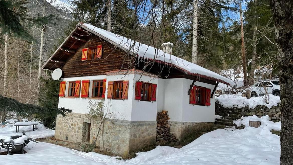 Chalet Le Tyrolien, Au Coeur Du Boreon Saint-Martin-Vésubie Eksteriør bilde