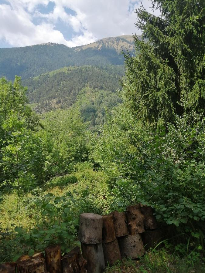 Chalet Le Tyrolien, Au Coeur Du Boreon Saint-Martin-Vésubie Eksteriør bilde